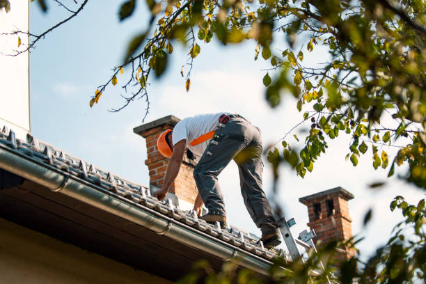 Best Roof Gutter Cleaning  in Jones Valley, CA